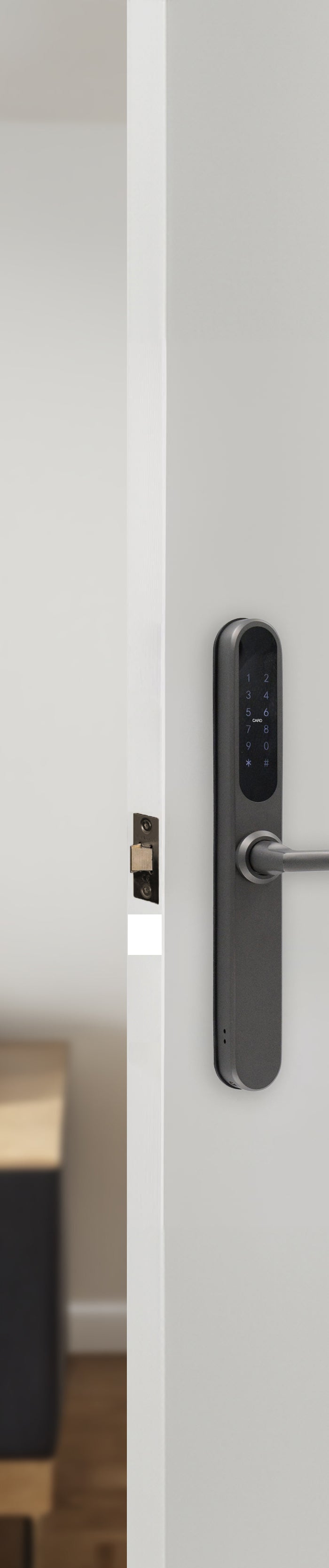 <p><strong>Zanda Digital Locks Smart, Secure & Stylish</strong></p>