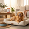 Pet Supplies