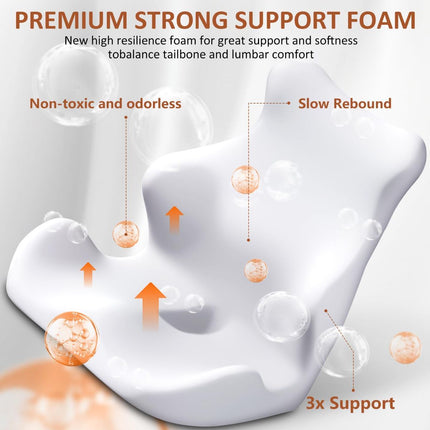 Seat Cushion with Back Support, Lumbar Support Pillow for Office Chair