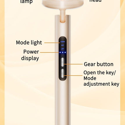 LED Facial Wand Neck Massager Red Light Therapy Beauty Device Skincare Tool - Black - Size 167mm
