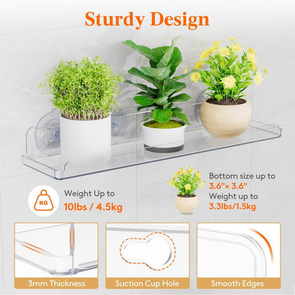 Window Plant Shelves 14.6, 2 Pack Acrylic Suction Cup (Size 4 Pack)