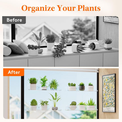 Window Plant Shelves 14.6, 2 Pack Acrylic Suction Cup (Size 4 Pack)