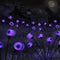 Garden Lights