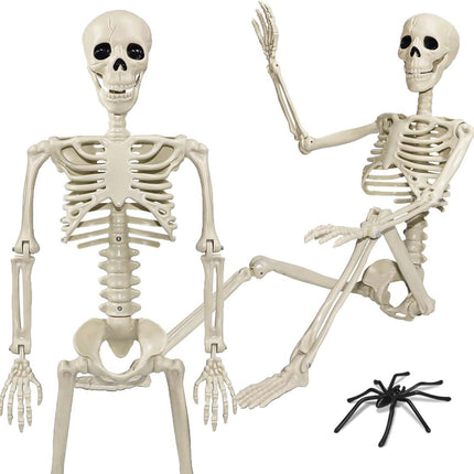 Halloween Skeleton 36-Inch Skeleton Poseable Skeleton (Size 2 Pcs)