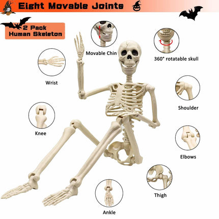 Halloween Skeleton 36-Inch Skeleton Poseable Skeleton (Size 2 Pcs)