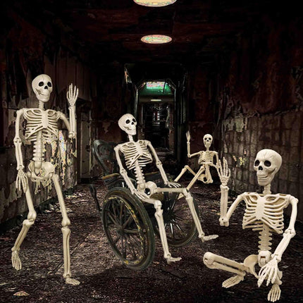Halloween Skeleton 36-Inch Skeleton Poseable Skeleton (Size 2 Pcs)