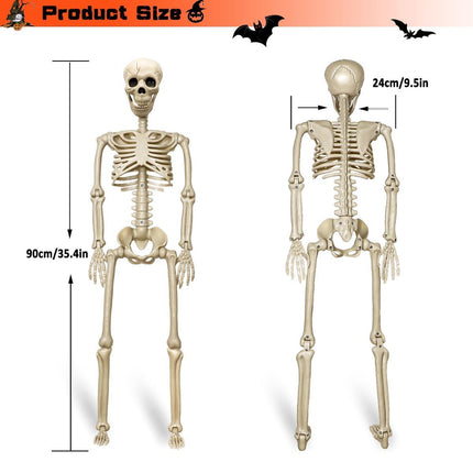 Halloween Skeleton 36-Inch Skeleton Poseable Skeleton (Size 2 Pcs)