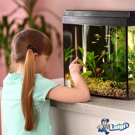 Fish Tank Cleaner - Turtle Tank Accessories