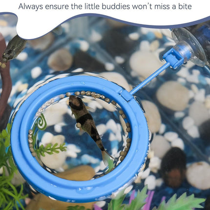 Betta Feeding Ring, Prevent Water Turbulence from Washing Food into Filter, Practical Round Floating Food, Suitable for Guppy, Goldfish and Other Small Fish (5 Pc)