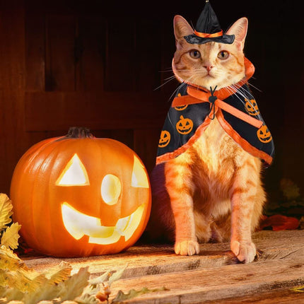 Halloween Cat Costume Cloak Witch Hat Pet Accessories Halloween