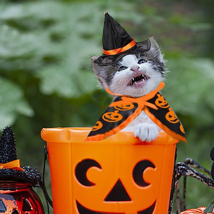 Halloween Cat Costume Cloak Witch Hat Pet Accessories Halloween