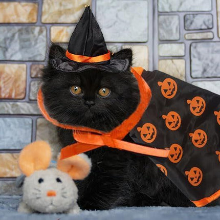 Halloween Cat Costume Cloak Witch Hat Pet Accessories Halloween