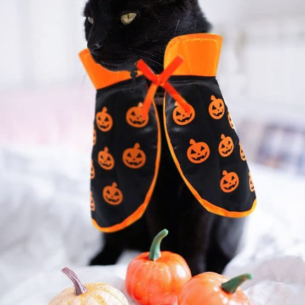 Halloween Cat Costume Cloak Witch Hat Pet Accessories Halloween