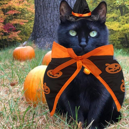 Halloween Cat Costume Cloak Witch Hat Pet Accessories Halloween