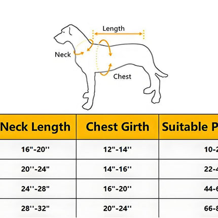 Pet Deadly Doll Dog Costume (Size M)