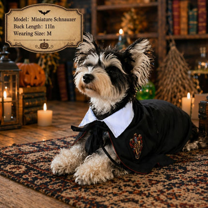 Halloween Pet Costume Dog Wizard Costume Cat Wizard Costume (Size S)