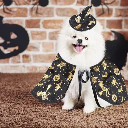 Pet Halloween Costumes Dogs Cats Halloween Witch Pet Costume (Size L)