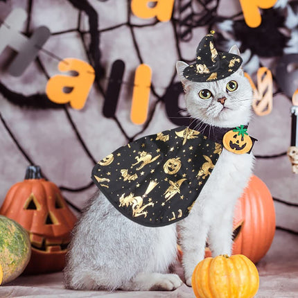 Pet Halloween Costumes Dogs Cats Halloween Witch Pet Costume (Size M)