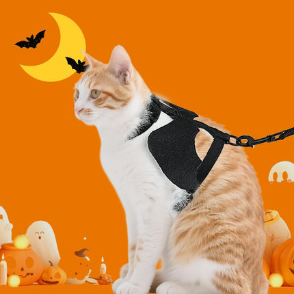 Cat Harness and Leash with Bat Wings (Size S)