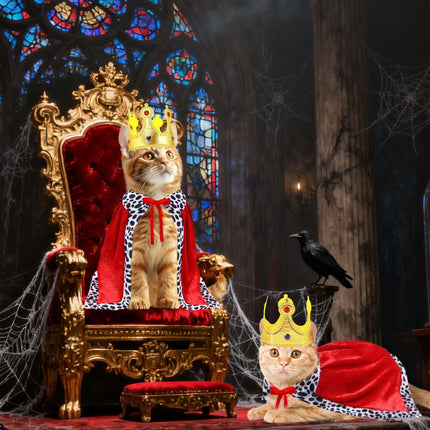 Cat Halloween Costume Cat King Costume Red Cape for Cat Gold Crown