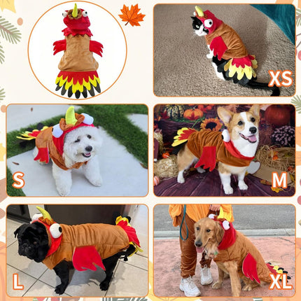 Dog Costumes Dog Turkey Costume (Size M)