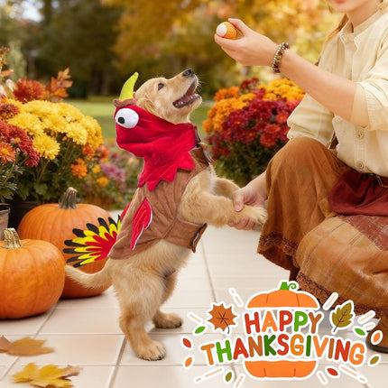 Dog Costumes Dog Turkey Costume (Size M)