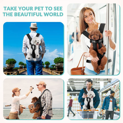 Dog Harness Storage Bags For Dogs Pet Accessories Dog Outdoor Gear High-Quality - Black - Size M