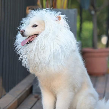 Lion Mane Wig for Dogs with Ears, Funny Pet Costumes for Halloween Christmas - White - Size L