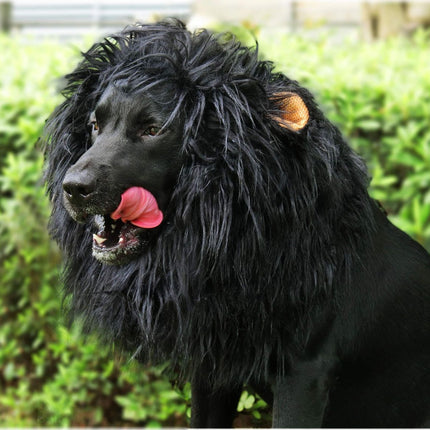 Lion Mane Wig for Dogs with Ears, Funny Pet Costumes for Halloween Christmas - White - Size M