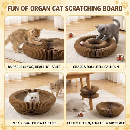 2-Pack Cat Toy Cat Scratching Board Collapsible Cat Toy Recyclable Cat