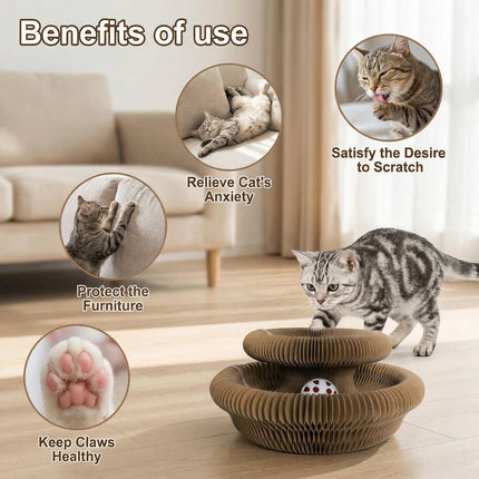 2-Pack Cat Toy Cat Scratching Board Collapsible Cat Toy Recyclable Cat