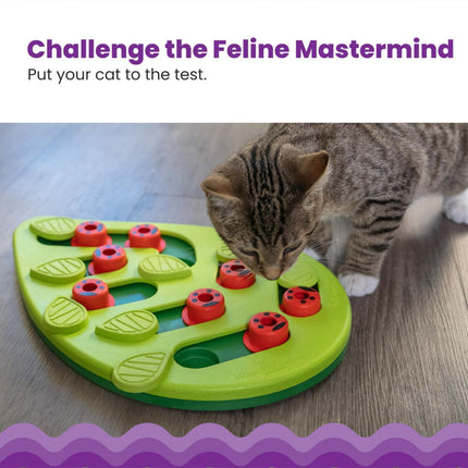 Cat Puzzle Feeder Indoor Cat Toy Interactive Treat (Feeding Cat Toy)