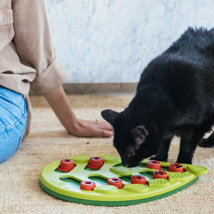 Cat Puzzle Feeder Indoor Cat Toy Interactive Treat (Feeding Cat Toy)