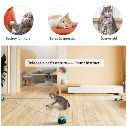Interactive Cat Toy Automatic Cat Toy Manual Cat Toy DIY Feather Mouse