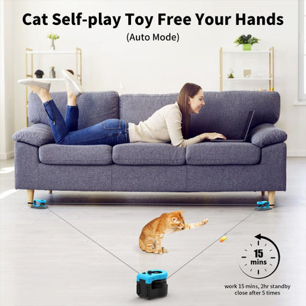 Interactive Cat Toy Automatic Cat Toy Manual Cat Toy DIY Feather Mouse