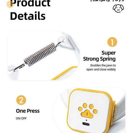 Interactive Cat Toy Electric Cat Teaser Remote Control Cat Toy Door