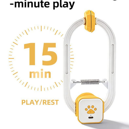 Interactive Cat Toy Electric Cat Teaser Remote Control Cat Toy Door