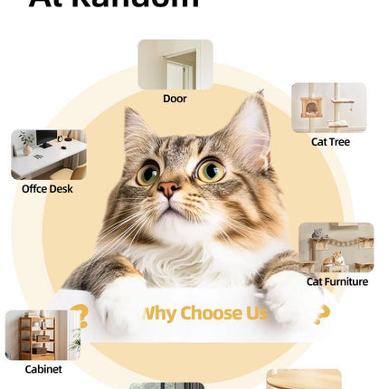 Interactive Cat Toy Electric Cat Teaser Remote Control Cat Toy Door