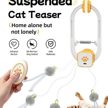 Interactive Cat Toy Electric Cat Teaser Remote Control Cat Toy Door