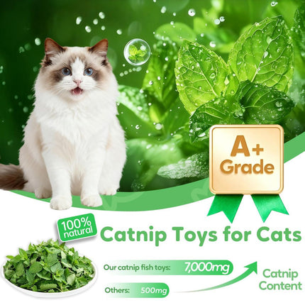 3 Cat Toys Australia Fish-Shaped Cat Toys Catnip Toys Cat Scratching