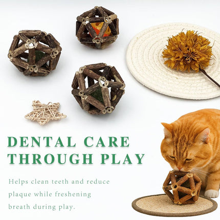 3-Piece Indoor Cat Toys Natural Catnip Toys Kitten Toys Teeth Cleaning