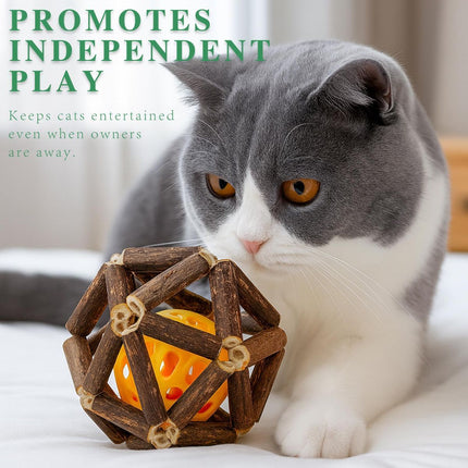 3-Piece Indoor Cat Toys Natural Catnip Toys Kitten Toys Teeth Cleaning