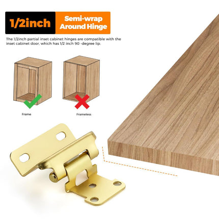 Semi-Overlay 1/2 inch Self-Closing Hinges, 10 Pack, Self-Closing Design, Face Frame Door Fit, Half Wrap-Around Cabinet Hardware Hinges, Kitchen Cabinet Face Mount - Gold