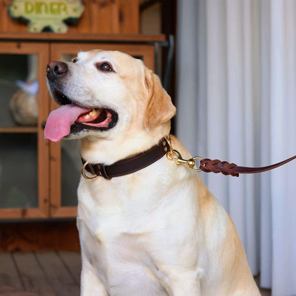 Premium Genuine Leather Dog Collar/Durable Real Leather Adjustable Collars For Male Female （size: XS）