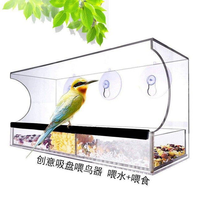 Automatic Transparent Bird Feeder (Acrylic) Size 300 100 130mm Color Transparent for Birds Balcony Mount