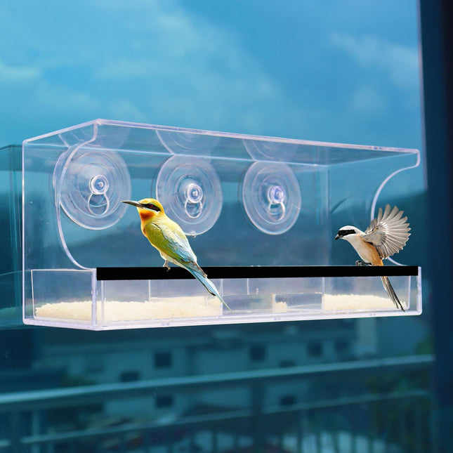 Automatic Transparent Bird Feeder (Acrylic) Size 300 100 130mm Color Transparent for Birds Balcony Mount – product detail