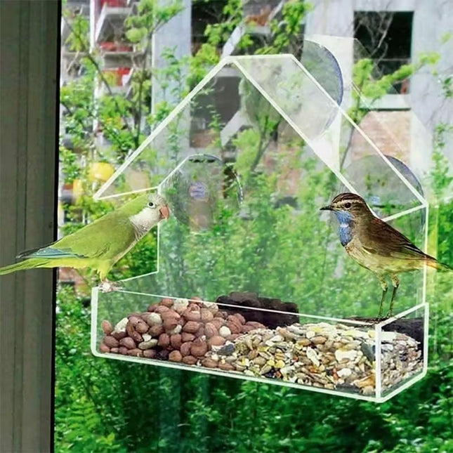 Transparent Bird Feeder (PS) Size 150 60 150mm Color Transparent for Birds Outdoor Use (1pc) – product detail