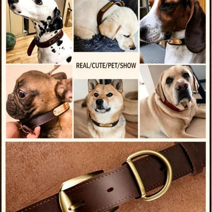Premium Genuine Leather Dog Collar/Durable Real Leather Adjustable Collars For Male Female(L,Black)