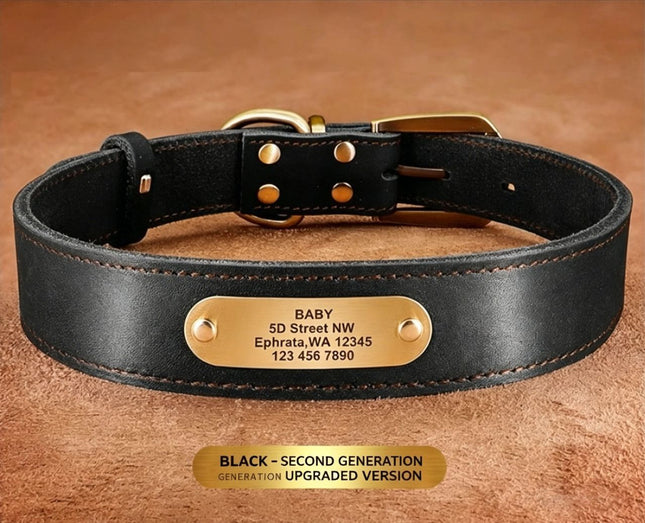 Premium Genuine Leather Dog Collar/Durable Real Leather Adjustable Collars For Male Female(XXL Black)