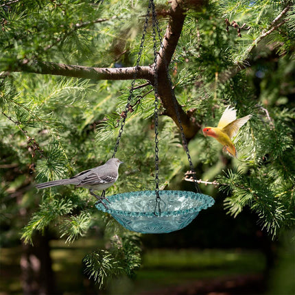 JWDX Bird Feeders for Outdoors Clearance! Hanging Bird Bath Plastic Bird Bath Plate Hanging Tray for Outdoors Hanging Bird Water or Bird Seed Hanging Bird Feeder for Outdoors Bird Bath Bowl S4-Blue
